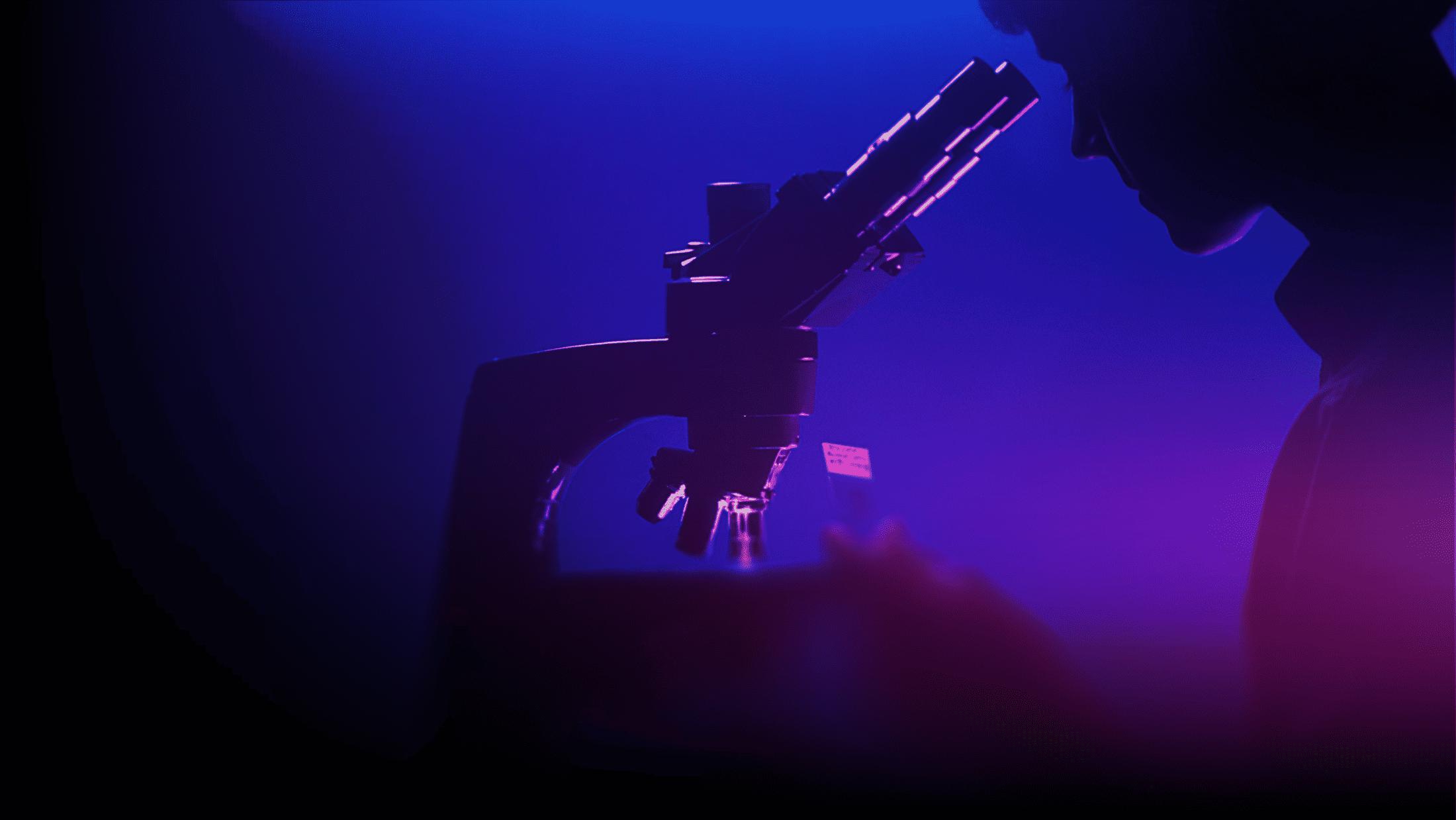 Image de présentation